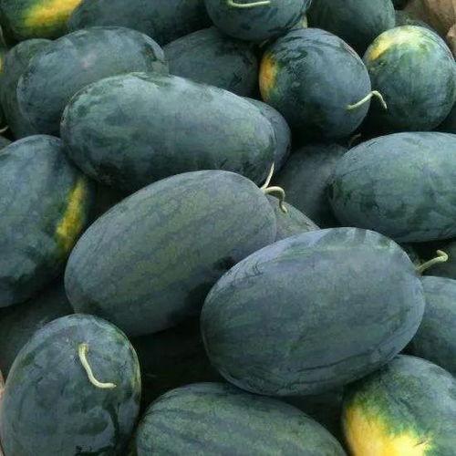 51黑瓜吃料网入口密码