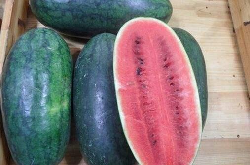 黑料正能量吃瓜爆料,揭秘娱乐圈吃瓜背后的真相与温情