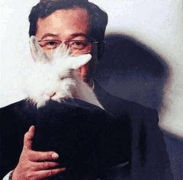 明星吃瓜黑料群,明星吃瓜黑料群内幕大曝光